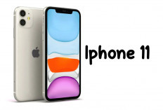 Alasan iphone 11 Masih Menjadi Pilihan Favorit di Tahuj 2024