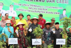 Pemkab Muara Enim Rencanakan Pembangunan Pasar Induk dan Gudang Pertanian di Semende Raya
