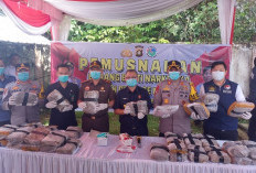 Satresnarkoba Polres OKU Timur Musnahkan 35 Kilogram Ganja dengan Cara Dibakar 