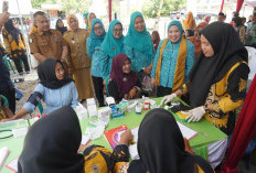 Gali Potensi Lokal, TP PKK Sumsel Ajak Warga PALI Wujudkan Kemandirian Pangan