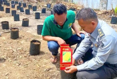 Komitmen Dukung Program Ketahanan Pangan, Manfaatkan Lahan Menanam Jagung di Lapas Empat Lawang 