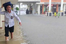 Waduh, Hujan 2 Jam, PN Palembang Dikepung Banjir Setinggi Lutut Orang Dewasa