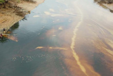 Nih Lihat, Aliran Sungai Dawas Permukaanya Dipenuhi Minyak Mentah, Warga Khawatir Sumber Air Bersih Terganggu 
