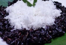 Kelezatan Ketan Hitam: Aneka Olahan Tradisional dan Modern yang Menggugah Selera