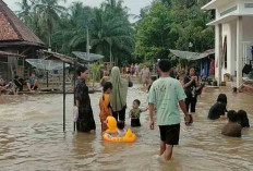 Banjir Jadi Wisata Dadakan, Berenang dan Bermain 