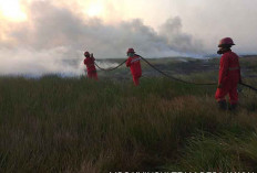 Waduh, Dua Hari Lahan Gambut di Desa Kayu Labu OKI Terbakar, Sudah Seluas 5 Hektar 