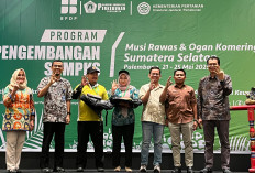 Tingkatkan Kompetensi Petani, BPDP dan Ditjen Perkebunan Gelar Pelatihan SDM Sawit di Palembang