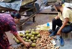 Harga Bumbu Dapur Bertahan, Masyarakat Harapkan Stabilitas Harga Kebutuhan Lain