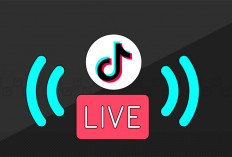 Ini Nih! Strategi Live TikTok Efektif, Raih Ribuan Penonton!