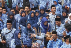 Ini Permintaan Perkumpulan Honorer K2 Indonesia Kepada Pemerintah, Ada 3 Permintaan 