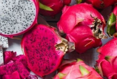 Buah Naga, Si Cantik Kaya Manfaat: Lebih dari Sekadar Warna yang Memukau!