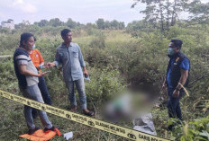 Penemuan Mayat Misterius di Bawah Jembatan Tol Kayuagung, Polisi Lakukan Identifikasi