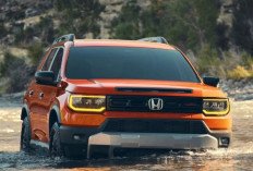 Honda Passport 2026: Transformasi SUV Paling Tangguh dengan Kemampuan Off-Road Sejati dan Teknologi TrailWatch