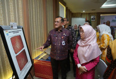 Pemprov Sumsel Gencarkan Aksi Pelestarian Naskah Kuno, Libatkan Partisipasi Aktif Masyarakat