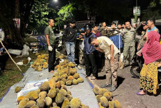Pedagang Buah Durian Diberikan Himbauan Agar Tertib Berjualan 