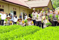 Manfaatkan 18 Ha Lahan untuk Bertanam Sayur