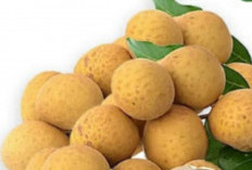 Manisnya Kelengkeng, Sejuta Manfaat Kesehatan: Lebih dari Sekadar Buah Penyegar