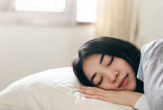 Apa Benar? Tidur Siang 20 Menit Bikin Otak Makin Cerdas?