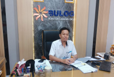 Stabilkan Harga, Bulog Salurkan 4 Ribu Ton Beras SPHP 