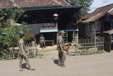 Satpol PP Muba Tertibkan Hewan Ternak Berkaki Empat di Kecamatan Batang Hari Leko