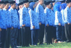 Pilkada 2024, ASN Diingatkan Bijak Gunakan Medsos