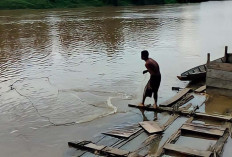 Kondisi Pasang Surut Sungai Musi Picu Penurunan Hasil Tangkapan Ikan Nelayan