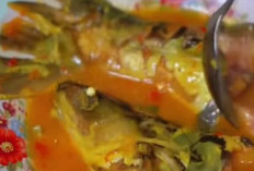 Gurih Asam Manis Gulai Tempoyak: Eksotisme Fermentasi Durian dalam Sajian Kuah