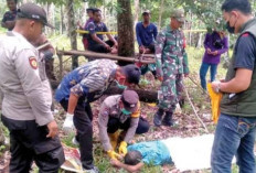 Petani di Musi Rawas Ditemukan Meninggal di Kebun, Keluarga Tolak Otopsi