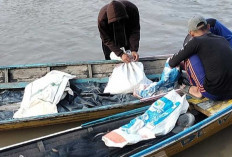 Debit Air Sungai Musi Surut, Nelayan Mulai Tangkap Ikan 