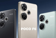 Poco F6: Desain Elegan, Performa Gahar dan Kamera Berkualitas Tinggi