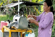 Cuaca Cerah, Pedagang Es Tebu Ketiban Rejeki Nomplok