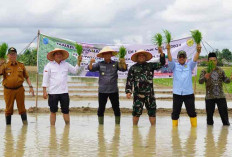 Didukung Kodim 0402/OKI,  2025 Program Cetak Sawah 200 Hektar 