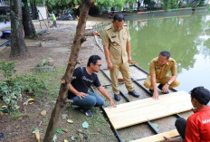 Pj Walikota Palembang Pantau Revitalisasi Kawasan Kambang Iwak 