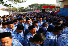 Selamat Ya! Kado Awal Tahun 2025: Ribuan Honorer Lingkungan Pemkab Muba Lulus PPPK Tahap 1