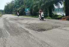 Pengendara Keluhkan Jalan Rusak di Perbatasan Desa Ngulak II dan Desa Terusan