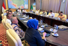 Akselerasi Tata Ruang Muba: Sekda Apriyadi 'Curhat' Persoalan Kawasan Hutan Langsung ke Menteri ATR