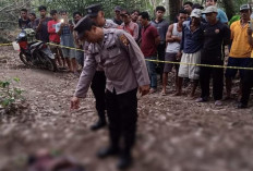 Pembunuh Petani di Kebun Desa Mangan Jaya Ditangkap Kurang dari 24 Jam  