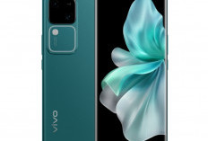Vivo V30  Tawarkan Kamera Sony 50MP dengan Layar AMOLED 120Hz 