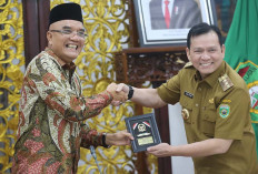 Pj Gubernur Elen Setiadi Paparkan Program Unggulan Pemprov Sumsel Dihadapan Komisi VIII DPR RI