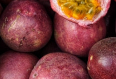 Markisa: Buah Tropis Kaya Manfaat untuk Kesehatan dan Kecantikan