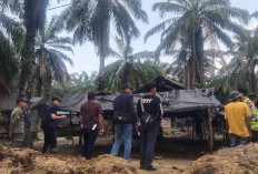 Tim Gabungan Bongkar 41 Lokasi Illegal Refinery di Keluang Kabupaten Muba 