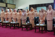 Desy Kasnayati Edward Resmi Dikukuhkan Sebagai Ketua DWP Sumsel  