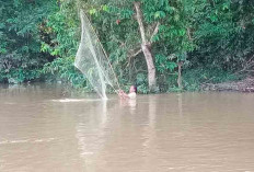 Berkah Pasca Banjir, Warga Ramai-Ramai Tangkap Ikan Mudik 