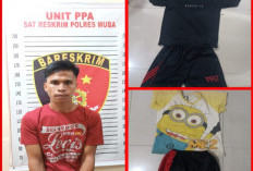 Terduga Pelaku Pencabulan di Babat Toman Diamankan