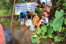  3.000 Bibit Patin Ditebar, Pemerintah Kelurahan Sungai Lilin Ajak Warga Jaga Ekosistem