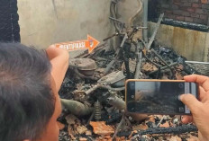 7 Unit Sepeda Motor Hangus Terbakar di Kawasan Kemang Manis Palembang 