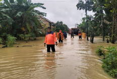 Hujan Deras Semalaman, Puluhan Rumah di Muara Enim Terendam Banjir
