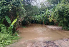 Aktifitas Warga Desa Danau Cala Terhambat, Akses Jalan Terendam Banjir 