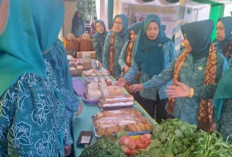 Desa Sukadamai Baru Tampil Maksimal di Lomba HATINYA PKK Sumsel