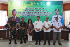 Topang Swasembada Pangan, Kementan Target Cetak 125 Ribu Hektar Sawah di OKI 